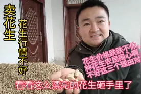 花生行情闹心两万斤花生难卖，价格不好大鹏分析三个原因对不对