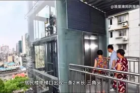 广州天河一小区，竟然在电梯口出现眼镜蛇，究竟是怎么回事啊？