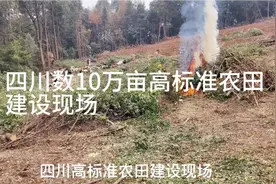 四川数10万亩高标准农田改造现场视频封面