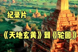 纪录片《天地玄黄》到《轮回》视频封面