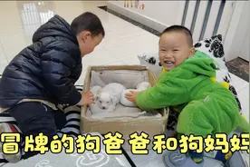 2熊孩子爱心泛滥，趁狗妈妈不在家，偷走狗宝宝回家过了把爸妈瘾视频封面