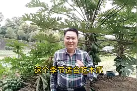 您知道吃木瓜的好处吗？视频封面