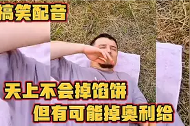 【搞笑配音】夫妻俩到野外露营，怎料天降正义，结果只能草草收场视频封面
