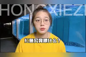 魟鱼究竟喂什么呢 ？视频封面
