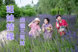 《姐妹情缘》人海茫茫我们相遇，成了真闺蜜，一起分享酸甜苦辣