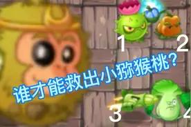 小猕猴桃被抓了，谁才能救出他？视频封面