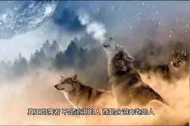 励志的句子致自己简短