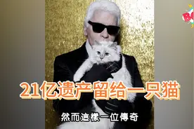 时尚老佛爷一生未婚，竟把21遗产留给一只猫?深挖卡尔感情史视频封面