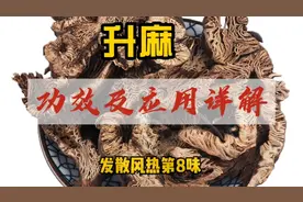 升麻的功效及应用详解视频封面