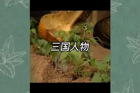 评述三国人物“刘备”与“诸葛亮”视频封面