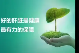 肝脏是最大的消化器官、代谢器官，养肝就是养命视频封面