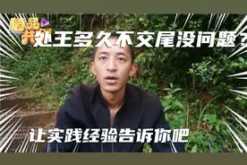新蜂王可以多少天不交尾？学会这招，不再浪费蜂王视频封面