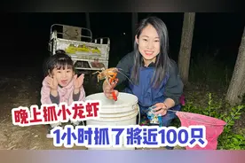 晚上去抓小龙虾，一只接一只都抓不完，1小时就抓100多只真过瘾视频封面