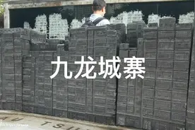 九龙城寨视频封面