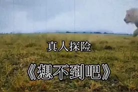 贝爷的逝世视频封面