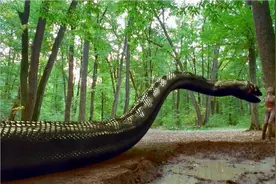 公园里出现变异超长蟒蛇《狂蟒之灾3》惊悚冒险片视频封面