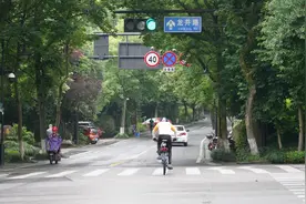 下雨的时候，徒步杭州西湖龙井村（BGM小提琴《下雨的时候》）视频封面