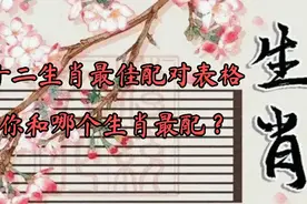 十二生肖最佳配对表格，你和哪个生肖最配？视频封面