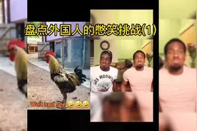 盘点外国人的憋笑挑战，太搞笑了视频封面