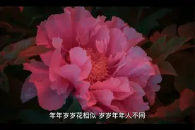 “会赚”不如“会算”，强势逆袭2022，聪明人一定提前布局！视频封面