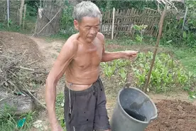 老男孩用尿来淋菜，这样青菜是不是营养价值很高？你们说呢？视频封面