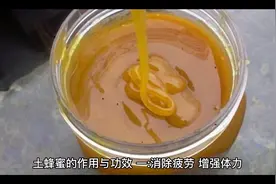 土蜂蜜的作用與功效视频封面