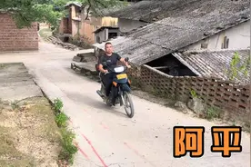 隔壁村的牛被扎了一下。肿的好大，阿平去把打一下消炎针视频封面