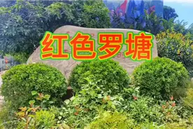 红色罗塘，康克清大姐的故乡，她是中国妇女解放运动的领导人。