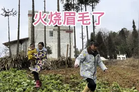 米妈和母亲在外干活，家里突然发生了如此惊慌的事，爸妈都着急了视频封面