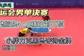 全运会男单决赛樊振东4：0力克黑马刘丁硕夺得金牌，霸气、暴力…视频封面