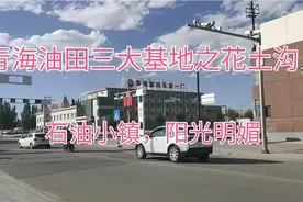 青海油田三大基地之花土沟，阳光明媚，蔬菜是500公里外敦煌运来视频封面