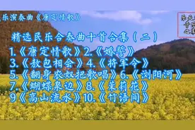 精选民乐合奏十首合集二）《康定情歌》《婚誓》《竹语间》等10首