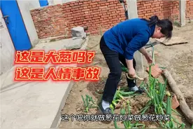 沈阳去法库57公里的超级大活！乘客送一麻袋大葱，回家边吃边哭视频封面