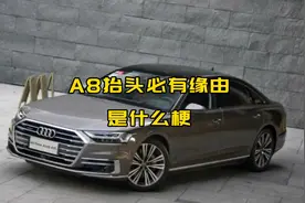 A8抬头必有缘由是什么梗？视频封面