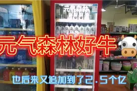 超市卖的元气森林出现重大失误  估计是营销手段视频封面