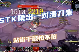 魔兽世界：站街1100破甲单刷是什么体验？盗贼p4单刷配装详解视频封面