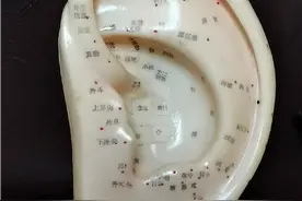 耳部结构图的简单介绍