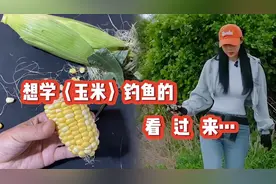 如果：你是用〈玉米〉钓不好鱼！看完此视频你将会新的认知…视频封面