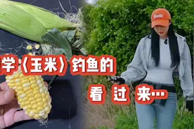 如果：你是用〈玉米〉钓不好鱼！看完此视频你将会新的认知…视频封面