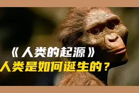 地球上最早的第一个人类是怎样诞生的？看完很有可能会颠覆你认知视频封面