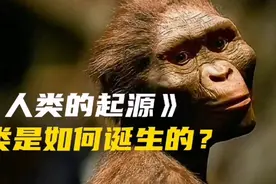 地球上最早的第一个人类是怎样诞生的？看完很有可能会颠覆你认知视频封面