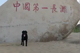 湛江 三十年前在这里工作过半年 龙海天沙滩 海水清澈 沙滩细腻视频封面