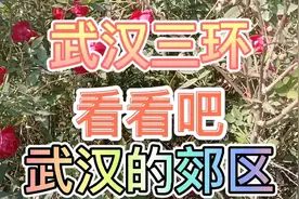 武汉郊区三环，我们去看看武汉黄陂武湖，现是长江新城区去看看吧视频封面