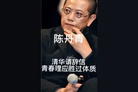 陈丹青辞职信全文视频封面
