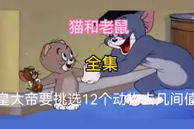 猫为什么吃老鼠，原来是因为…