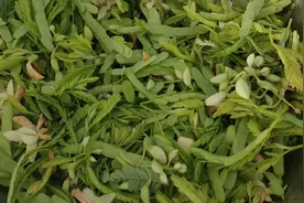 猜到是什么我做您女朋友💑