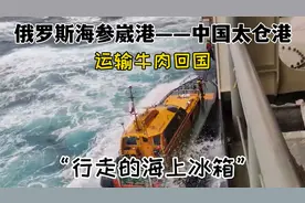 俄罗斯海参崴港运输牛肉回国！海员航行全记录，偶遇鲨鱼随行视频封面