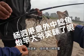 杨泗港桥底陪大爷钓鱼，意外中了一尾鲶鱼，又听见大爷爽朗的笑视频封面