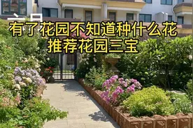 有了花园不知道该种什么花，给您推荐花园三宝视频封面