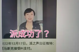 数字Pi，你同意吗？真的成功了还是又一张大饼？